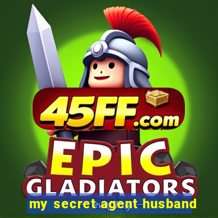 my secret agent husband